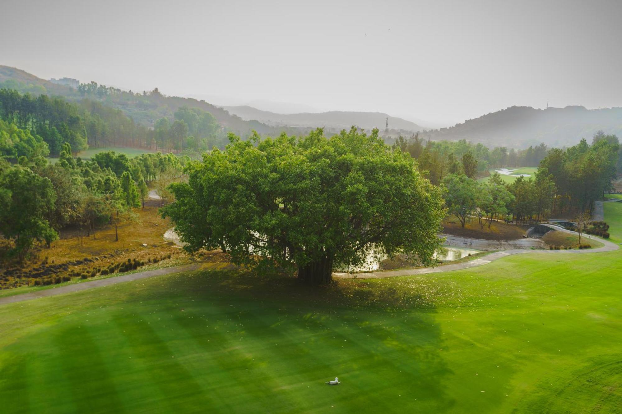 Oxford Golf Resort Pirangut Esterno foto